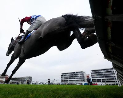 The British are coming! Will the tide turn at the 2026 Cheltenham festival?