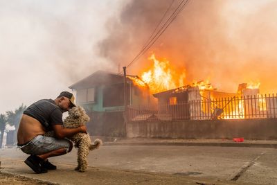 At least 19 dead in Chile wildfires as government declares ‘state of catastrophe’