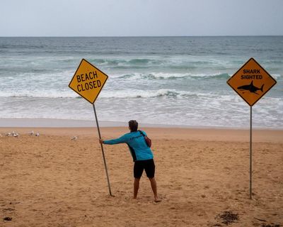 After four shark attacks in 48 hours, NSW authorities urge beachgoers ‘just go to a pool’