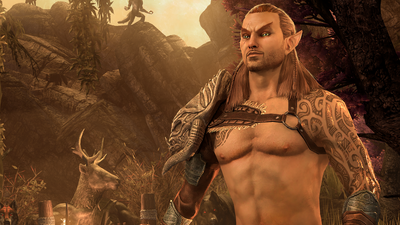 It's a ways off, but Elder Scrolls Online will get crossplay and cross-progression 'at the same time'