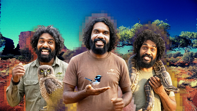 Indigenous TikTok star 'Bush Legend' is actually AI-generated, leading to accusations of 'digital blackface'