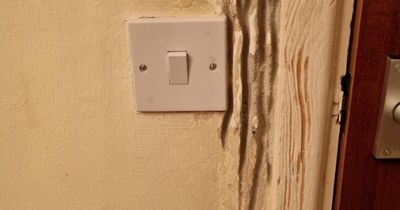 65 Fascinating Photos Of Everyday Objects That Have Worn Down In Unexpected Ways