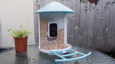 I’ve been using this Birdfy smart bird feeder for four months: here’s what I've learned