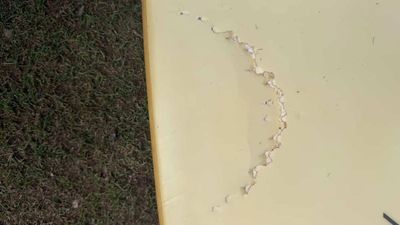 39 Y.O. Man Hospitalised After Fourth Shark Attack In NSW In 48 Hours