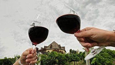 Trump threatens 200% tariffs on French wine if Paris does not join 'Board of Peace'
