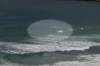 Surf webcam captures one of four New South Wales shark attacks in 48 hours