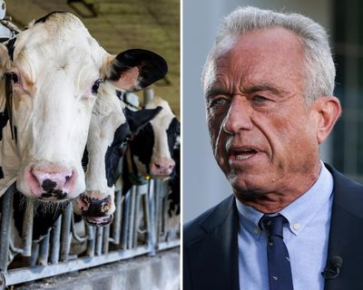 Huge amounts of extra land needed for RFK Jr’s meat-heavy diet guidelines