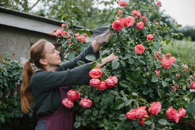 9 Winter Pruning Cuts That Invite Disease in Spring