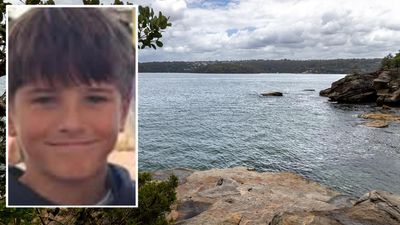 'Incredibly difficult': boy in shark attack hanging on