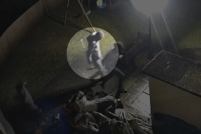 Sledgehammer-wielding gang smash way into home to steal £1m of designer clothes and watches