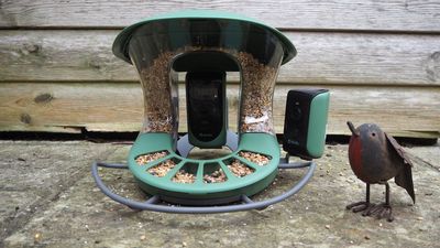 Birdfy Feeder 2 Duo review: two cameras, three angles