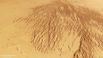 Mars orbiter sees odd etchings in the sand | Space photo of the day for Jan. 20, 2025