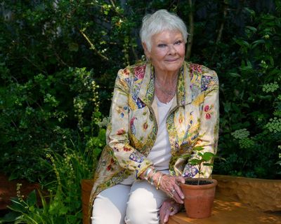 Judi Dench backs campaign to protect London’s green spaces from developers