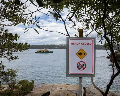 Family of 12-year-old Sydney Harbour shark attack victim prepare for ‘worst possible outcome’