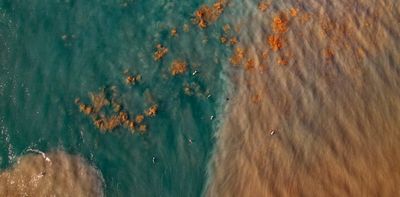 New study sheds light on the threat of ‘marine darkwaves’ to ocean life