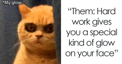 112 Posts And Memes Restaurant Workers Might Relate To Way Too Much