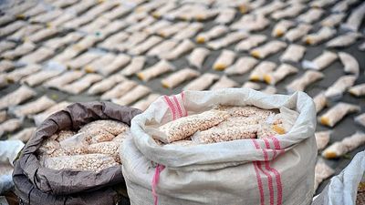 Police seize 1,000 tonnes of chemicals in 'largest-ever' drugs bust, Europol says