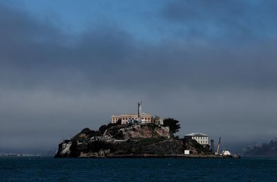 Coyote stuns observers by braving rough waters to swim to Alcatraz