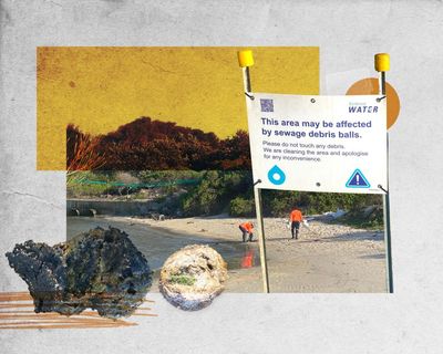 Sydney Water blames food outlets for illegally adding to fatberg. But restaurants say ‘if it’s a problem, it’s their problem’