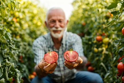 12 Seeds You Should Start Early If You Want Big Spring Harvests