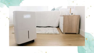 Experts reveal the surprising reason you need a dehumidifier in your bedroom this season