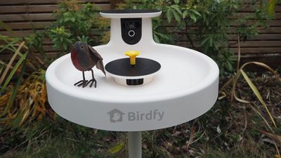 Birdfy Smart Bird Bath Pro with Stand review