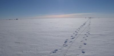 Beneath Antarctica’s largest ice shelf, a hidden ocean is revealing its secrets