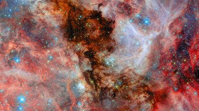 Hubble sees baby stars in Large Magellanic Cloud | Space photo of the day for Jan. 21, 2026