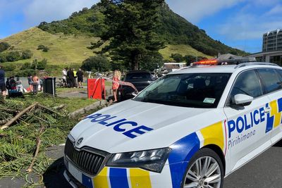 Rescue efforts underway after landslides hit New Zealand campground and house