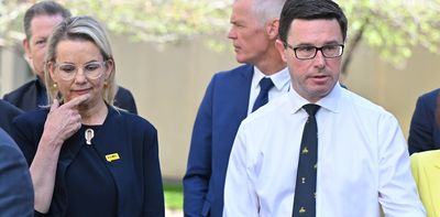 Instead of a marriage, the Coalition should be an on-again, off-again affair