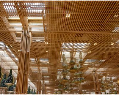 Schools, airports, high-rise towers: architects urged to get ‘bamboo-ready’
