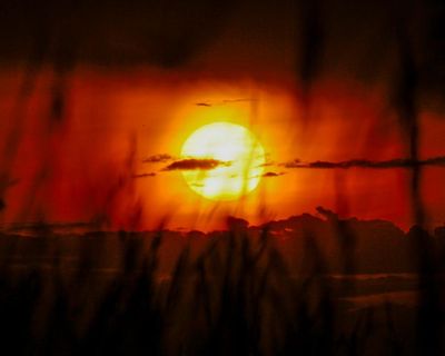 Heatwave and fire warnings as parts of Victoria expected to approach ‘all-time maximum record’ temperatures