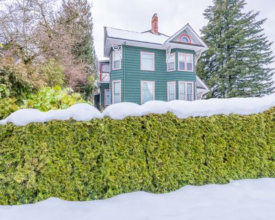 10 Ways to Protect Evergreens From Snow Load Damage