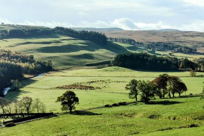 MoD objects to wind farm over ‘unmanageable’ risk to nuclear test monitoring