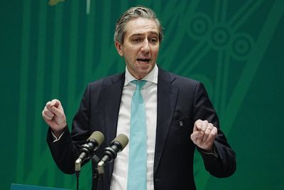 ‘Very serious red flags’ with Trump’s Board of Peace – Irish deputy premier