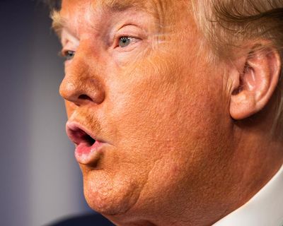 When the news is stranger than fiction