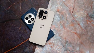 OnePlus will brick your phone if you rollback or flash a custom ROM