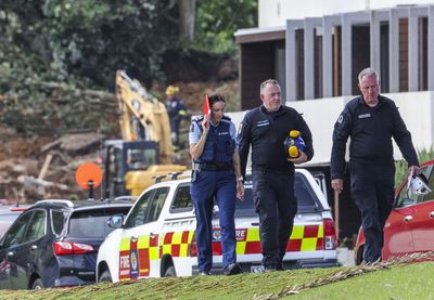 ‘We saw the trees moving down the hill’