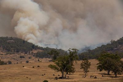 Intense heat could smash temperature records in south-east Australia with catastrophic fire danger forecast