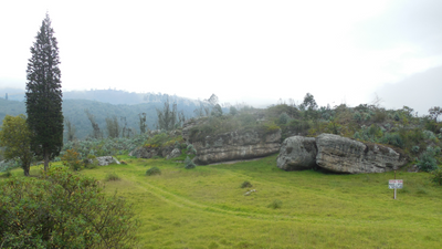 5,500-year-old human skeleton discovered in Colombia holds the oldest evidence yet that syphilis came from the Americas