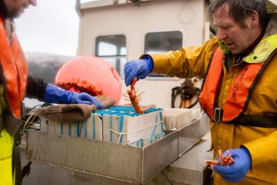 In Scotland, the fishing practice of scrapping ocean bottom continues despite promise