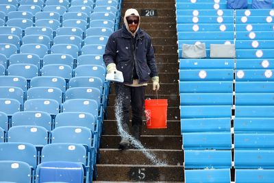 Experts issue warning over use of salt to tackle snow and ice at home