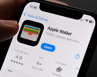 Campaigner launches £1.5bn legal action in UK against Apple over wallet’s ‘hidden fees’