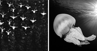 These 45 Aerial And Underwater Photos From Exposure One Prove The Best Views Are Found In The Oddest Places