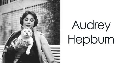 44 Vintage Photos Showing Famous People And Ordinary Folks Equally Obsessed With Cats (New Pics)