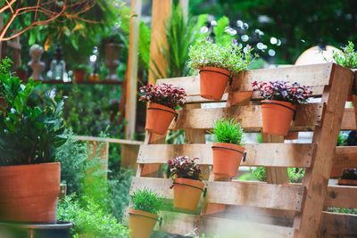 9 Cheap Windbreak Ideas That Save Plants in a Cold Snap