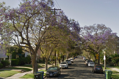 Ritzy LA neighborhood is being ‘overrun’ by sex workers, locals say