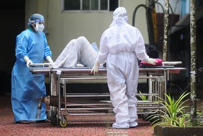 Bulletin world briefing: India races to control Nipah virus and Spain train crash cause revealed