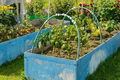 10 Garden Structures Worth Building While Bugs Are Gone