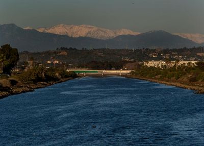 Sea lion recovering in LA after marine center found two bullets in his head